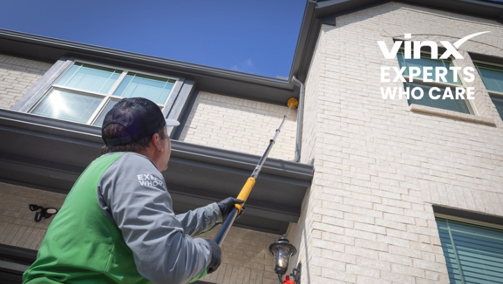 Say Goodbye to Wasps in South Carolina with Vinx Pest Control